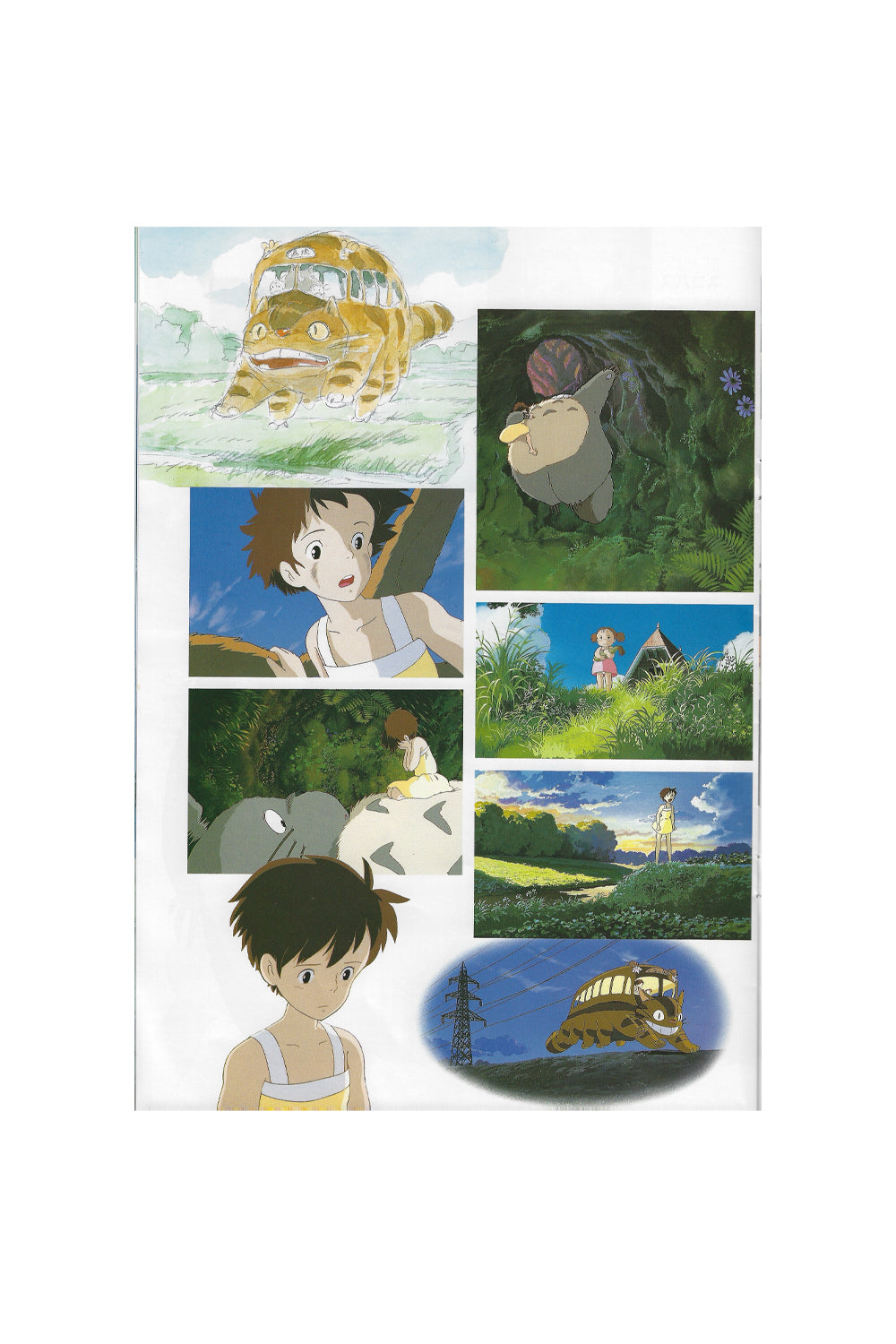 Totoro Studio Ghibli 1988