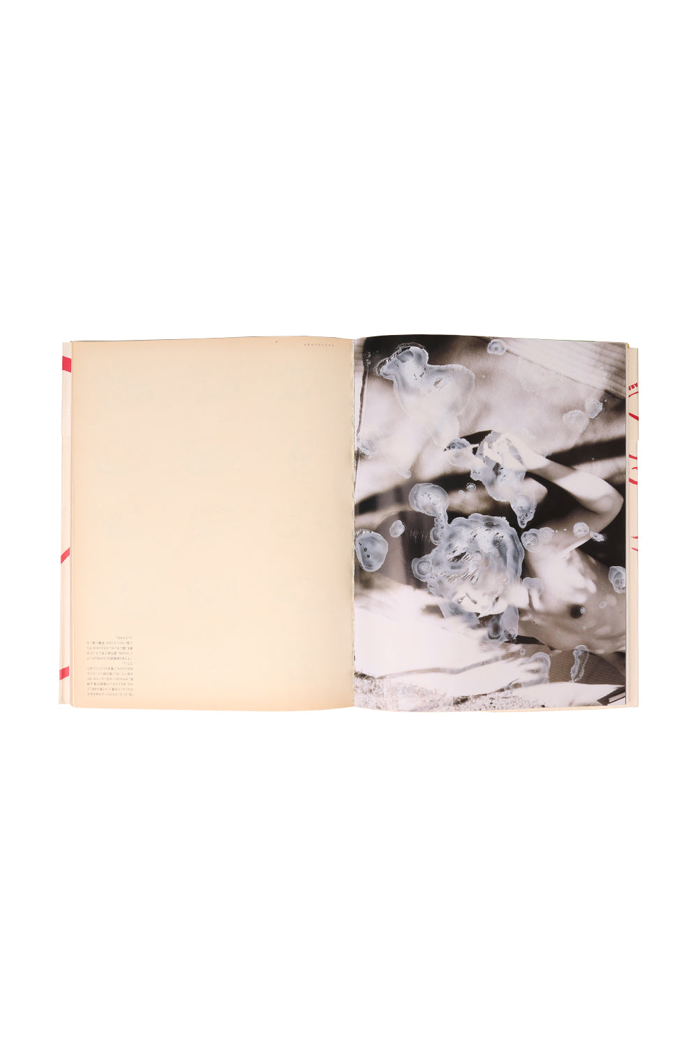 Nobuyoshi Araki Dotei Datcho-kun Libro Port