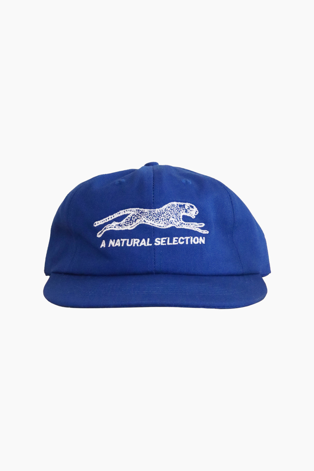 Brother Brother Natural Selection Blue Hat