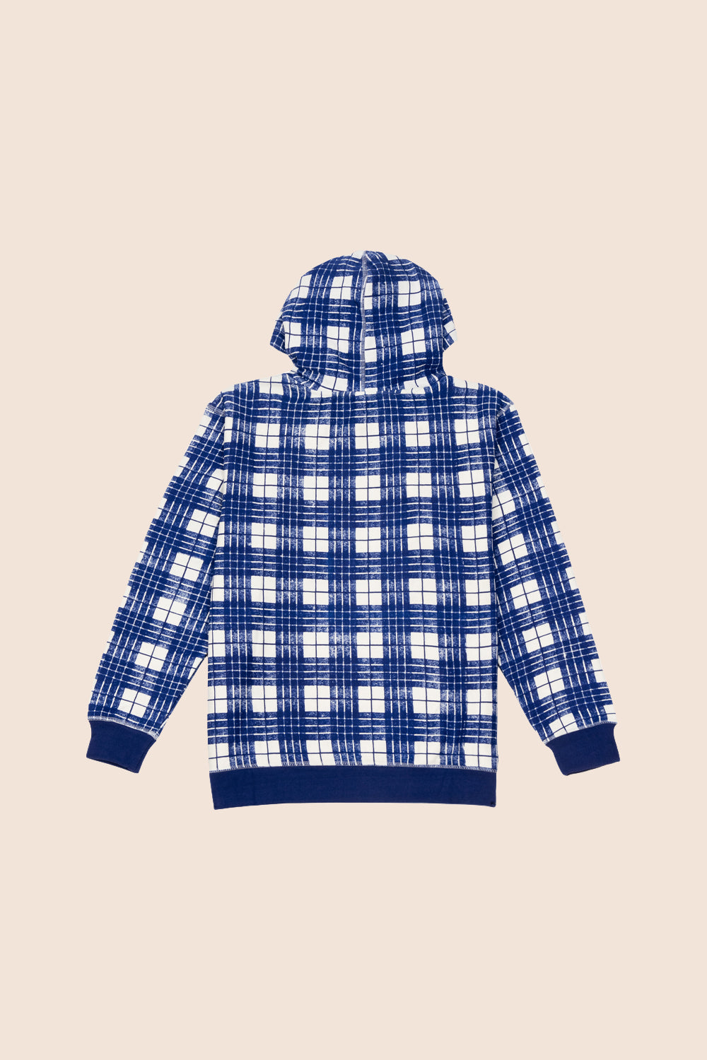 Iggy Ballpoint Plaid Hoodie