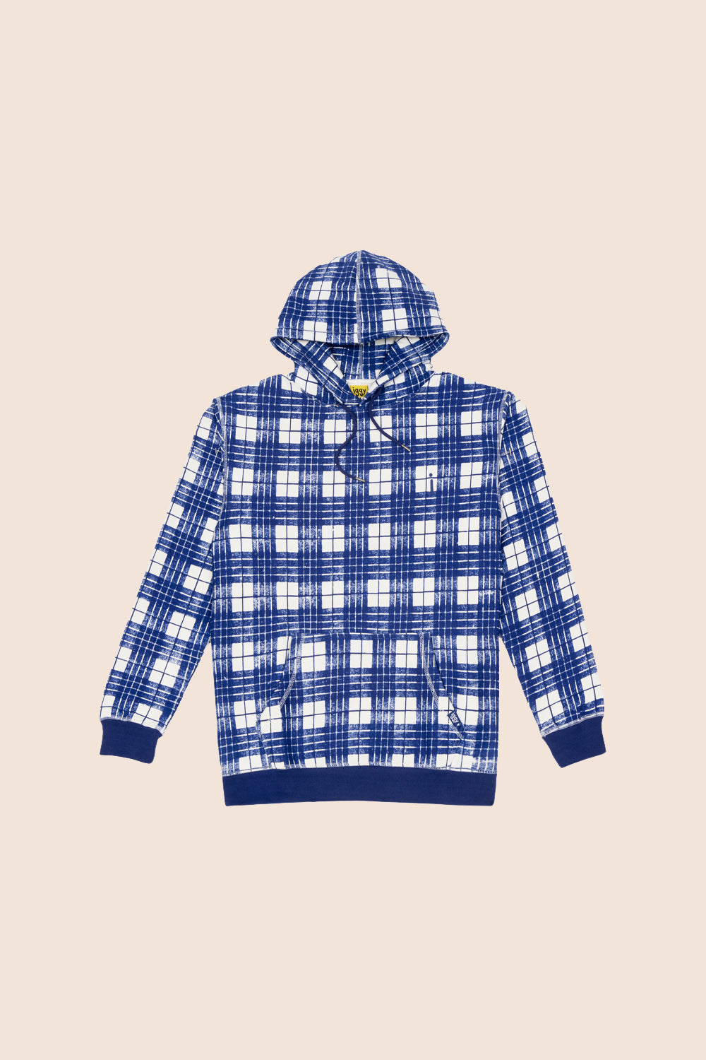 Iggy Ballpoint Plaid Hoodie