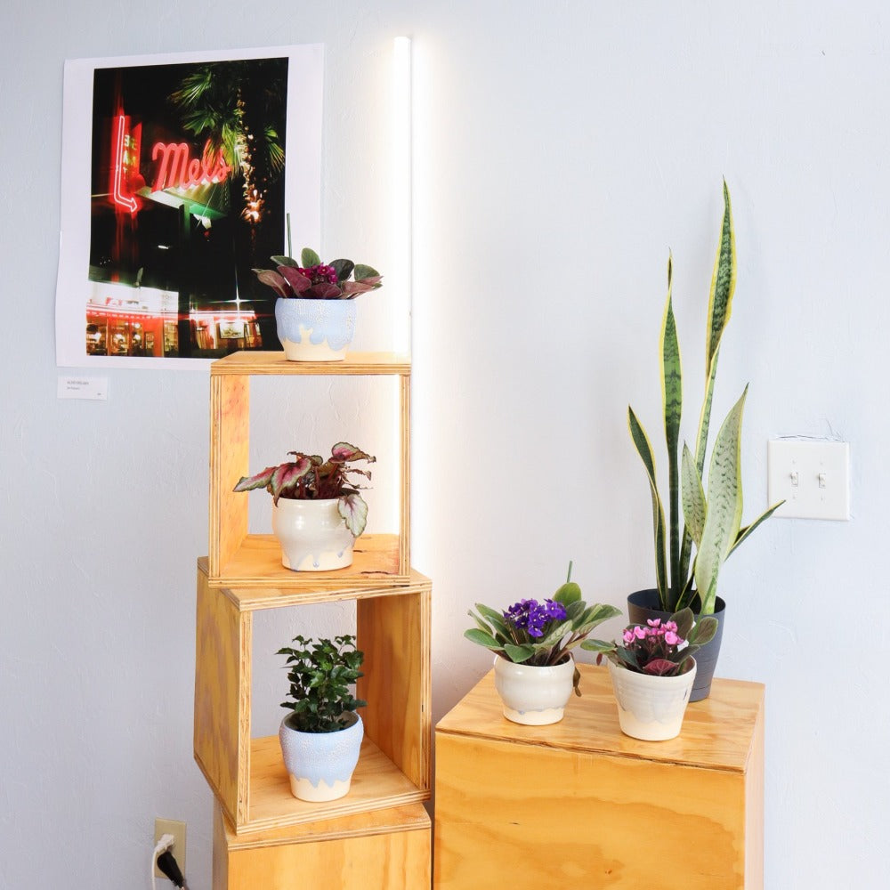 Drip Crystalline Planter