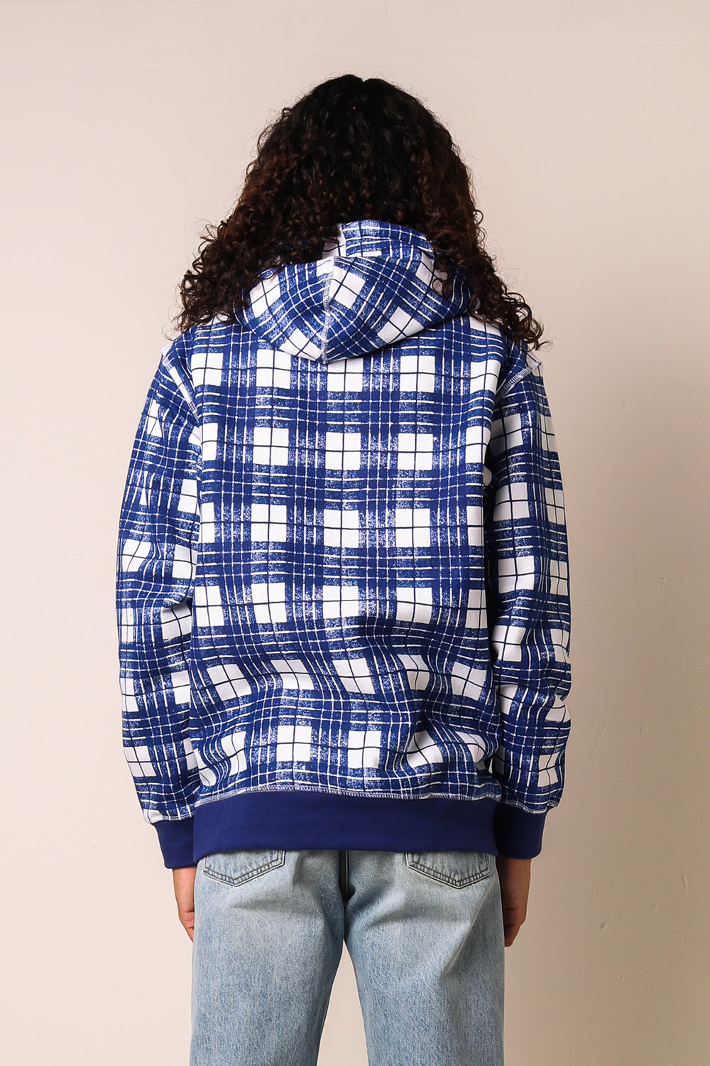 Iggy Ballpoint Plaid Hoodie