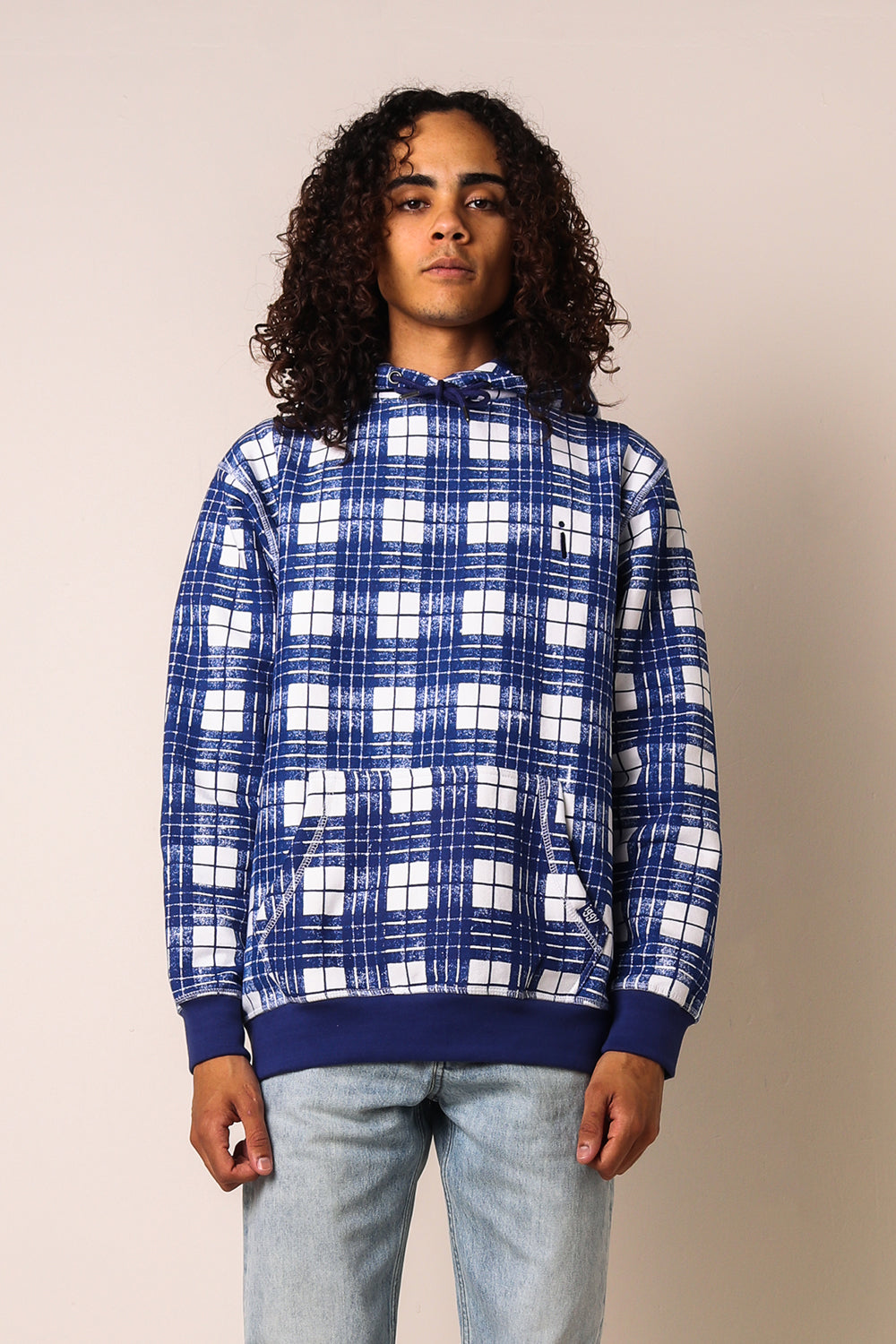 Iggy Ballpoint Plaid Hoodie